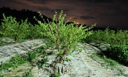 Tarsus ilçesinde dolu etkili oldu