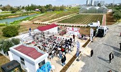 Tarsus ilçesinde topraksız tarım yöntemiyle yetiştirilen çilekler hasat edildi