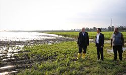 TZOB Genel Başkanı Bayraktar, Adana'da sağanaktan etkilenen bölgelerde incelemelerde bulundu