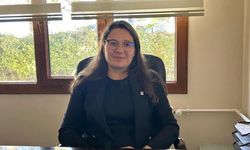 Yapay zekayla görselleştirilen 'Posi' çocuklara deniz çayırlarını anlatacak