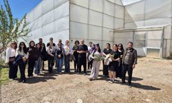 Alanya'da üniversiteli öğrencilerden tropikal bahçelere teknik gezi