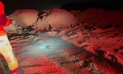 Camide görülen yılan yakalandı