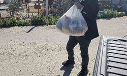 Onlarca aileye gıda kolisi dağıttı