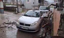 Yağmur ve şiddetli rüzgar çam ağacını devirdi, otomobil zarar gördü