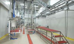 Büyükşehir, 50 Milyonluk Yatırımla Şehre Modern Kesimhane Kazandırıyor