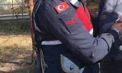 Hükümlü, jandarmanın ikna çalışmasıyla sınırda teslim oldu