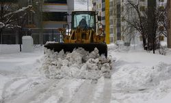 Doğu karla, batı baharla karşı karşıya