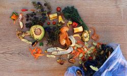 Milyonlarca kişi açlıkla mücadele ederken gıdaların üçte biri çöpe gidiyor