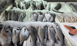 Su Ürünleri Av Yasağı Başladı