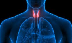 Tiroit bezindeki hormon dengesi ve nodüller yakından izlenmeli