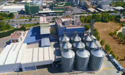 Türkiye'nin Yeni Ekmeği Konya’da Geliştirildi