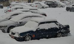 Doğuda mart kışı aratmıyor: 279 yol kardan kapalı