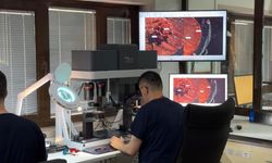 15 yıllık cinayet dosyası aydınlatıldı