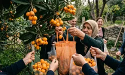 Alanya’da İlginç Karar! Talep Düştü, Tonlarca Malta Eriği Bedava Dağıtılıyor