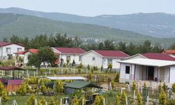 Hobi Bahçelerine Yeni Düzenleme: “Üretiyorsan Kal, Rant İçinse Git” Formülü Gündemde