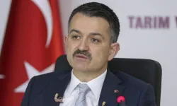 Bekir Pakdemirli Kimdir? Kaç Yaşında, Nereli? BİM Yönetimine Aday Gösterildi