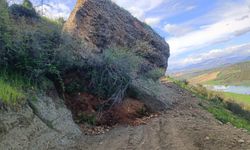 Adana'da sağanağın etkisiyle yuvarlanan kaya hayvancıların kullandığı yolu kapattı