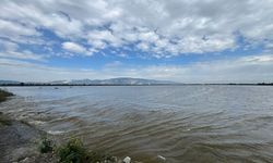 Aydın'da Büyük Menderes Nehri'nin taşması sonucu tarım arazileri sular altında kaldı