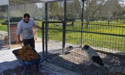 Konyaaltı Belediyesi çöpe gidecek yiyecekleri mamaya dönüştürüyor