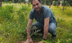 Mut'ta hastane bahçesine 150 zeytin fidanı dikildi
