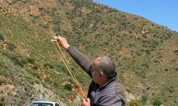 Trabzonlu öğrencilerin hazırladığı tohum topları Marmaris'te sapanlarla toprağa atıldı