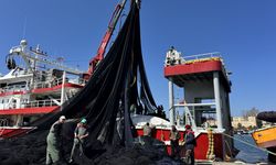 Üç tarafı denizle çevrili Sinop'ta balık avı sezonu bereketli kapanıyor
