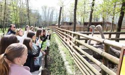 Batı Trakya’dan gelen 82 öğrenci Kocaeli’de ağırlandı