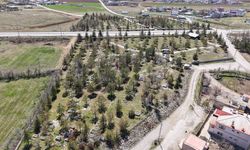 Büyükşehir, Mezarlıklarda Kapsamlı Yenileme Başlattı