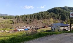 CHP’li Ateş: Fırnız’da Ağaç Katliamına ve Yıkıma Derhal Son Verin