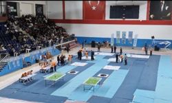 Elbistan’da Robotik Festivalde Çifte Başarı