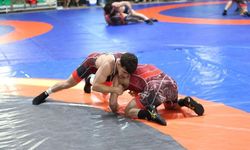 Güreşte milli takımlar, Avrupa ve dünya şampiyonalarına Kastamonu'da hazırlanıyor