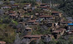 Göçle boşalan "hayalet köy" Lübbey turizmle ayağa kalkacak