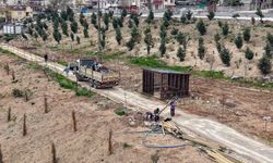 Karbon Yutak Alanı’nda Çalışmalar Sürüyor