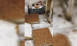 Kötü koku gerçeği ortaya çıkardı: Evden kaçak imalathane çıktı