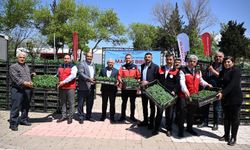 Maraş Biberi Üretimine Büyük Destek