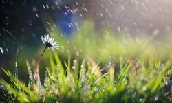 Son yağışlar tabloyu değiştirmedi: Kuraklık sürüyor