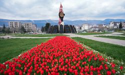 Şehir Çiçek Açtı; Kavşaklarda Görsel Şölen