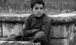 Sokak çocukları sorununda çözüm bireysel değil, kamusal!