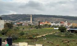 Filistin topraklarını gasbeden İsrailliler, Batı Şeria'daki çiftçileri topraklarından sürmeye çalışıyor