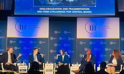 TCMB Başkan Yardımcısı Karahan, IIF Küresel Görünüm Forumu'nda konuştu