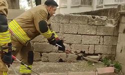 Evin Bahçesinde Yılan Alarmı