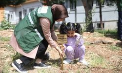 Okul Saldırısında Hayatını Kaybedenler İçin Fidan Dikildi