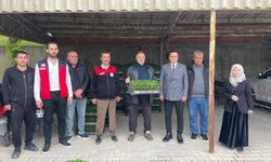Afşin’de Çiftçilere 30 Bin Maraş Biberi Fidesi Dağıtıldı
