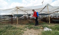 Büyükşehir’den Bayram Mesaisi; Temizlik ve İlaçlama Aralıksız Sürüyor