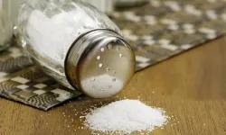 Dünya Tuza Dikkat Haftası