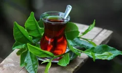 “Evlere çay stoklayın” uyarısı gündemde: İklim krizi çay üretimini tehdit ediyor