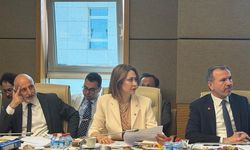 Okul Saldırılarını Araştırma Komisyonu TBMM'de  Toplandı