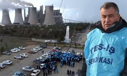 Tes-İş Sendikası’ndan Santral Önünde Büyük Protesto Çağrısı