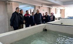 Su Ürünlerinde Cumhuriyet Tarihinin Rekoru!