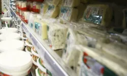 Tarım ve Orman Bakanlığı Açıkladı: 15 Peynir ve Yoğurt Ürünü Taklit ve Tağşiş Listesine Eklendi